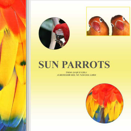 catalogo